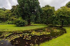 Harisson Smith Botanical Gardens - Tahiti