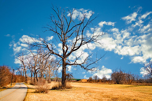 theeriecanaltowpath canal brightonnewyork landscape landmark explore