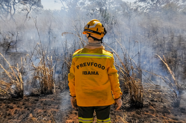 Prevenção a incêndios florestais intensificada até julho
