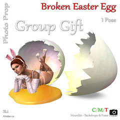 Broken Easter Egg - Group Gift