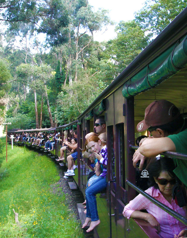 puffing billy final 2