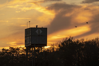 Water Tower and Birds
