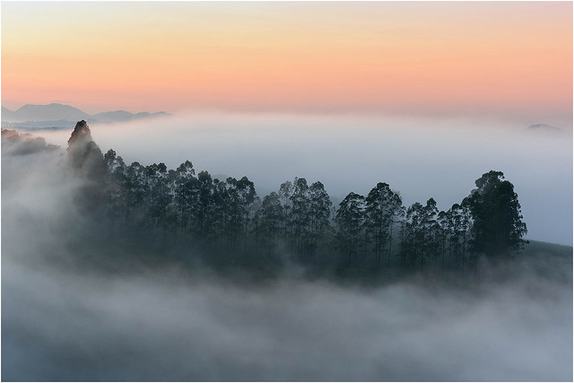 Nevoeiro nas Montanhas - Congonhal - Sul de Minas - MG - Brasil