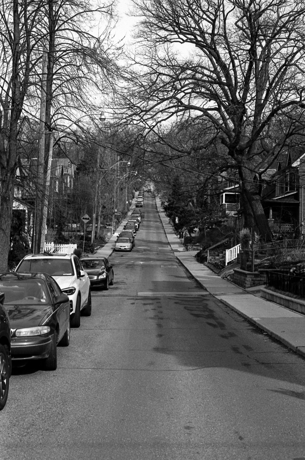 Looking Up Willow Ave Mar 2023