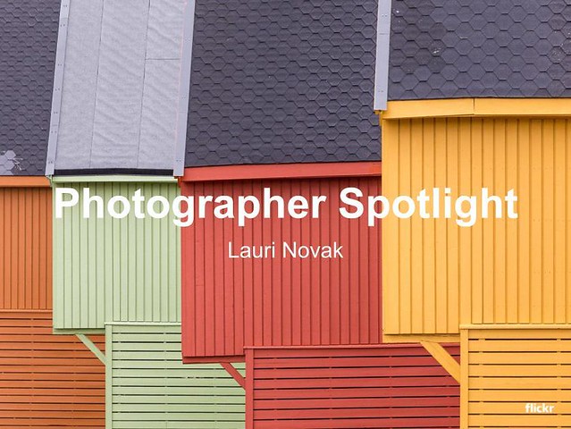 Photographer Spotlight: Lauri Novak