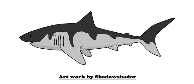 Hubbell's white shark (Carcharodon hubbelli†)
