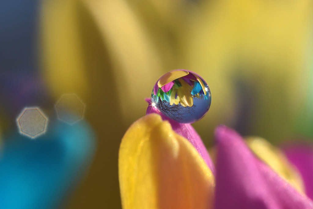 Spring in a drop