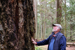 Dad and a Big Tree