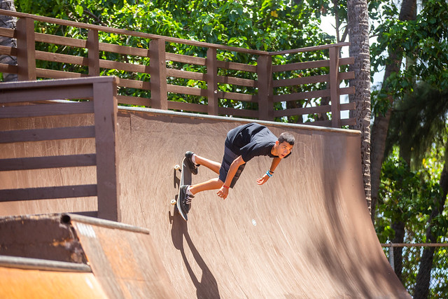 Hawaii Skateboards