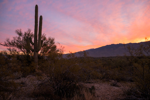 events winterroadtrip arizona usa places saguaronp publish flickr cactus landscape subject clouds desert hills sunrise valleys