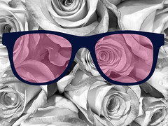 Through Rose-Tinted Glasses.jpg