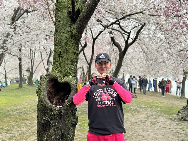 Ryan Janek Wolowski of RyanReporting making a heart shape symbol sending Love and a Thank You to Japan from The Love Tree Heart Shaped Wedding Engagement Location Japanese pink petal flowering trees during peak bloom at the Tidal Basin in Washington, D.C.