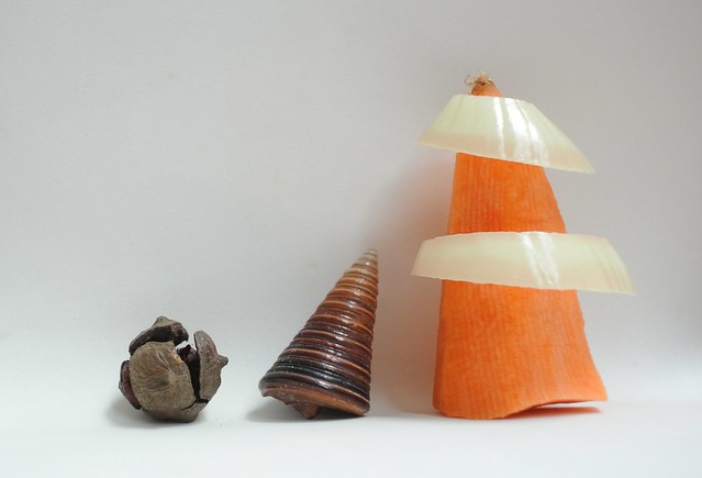 Some kinds of natural cones for We are here - Conezone