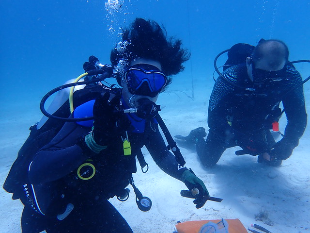 Dan Morris scuba diving with another person.