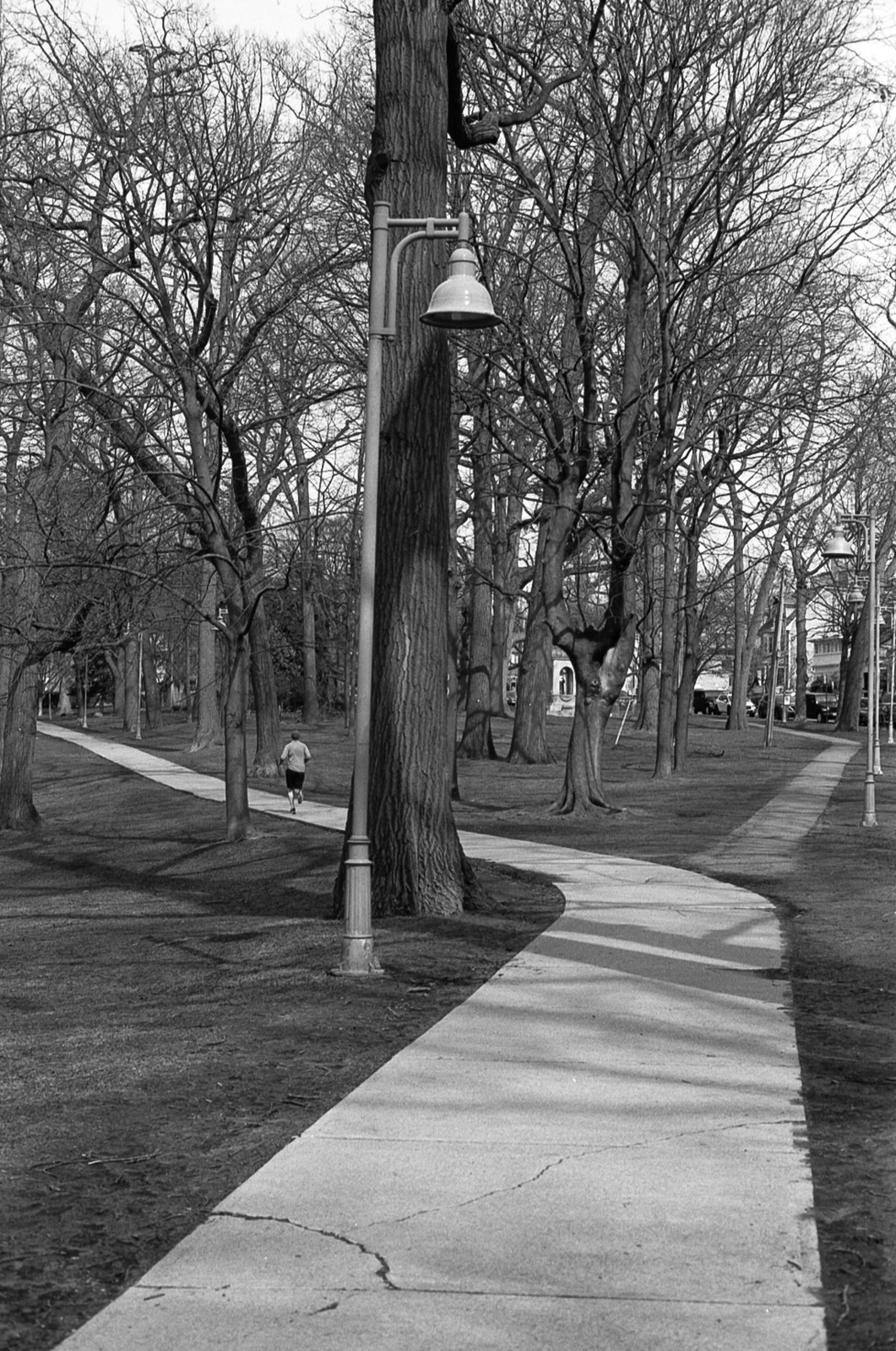 Kew Garden Paths Mar 2023