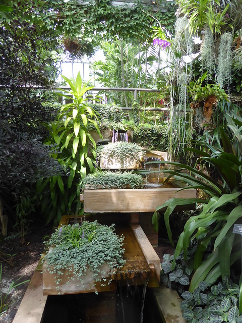 Glencoe, IL, Chicago Botanic Garden, Tropical Plants