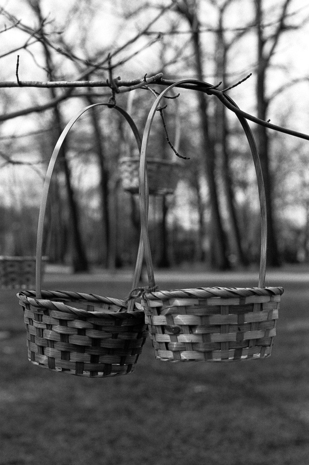 Easter Baskets Mar 2023