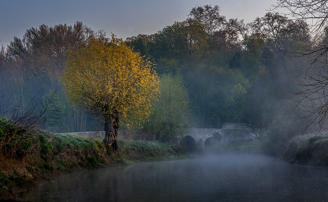 Pont Saint Pierre sous la brume - Evry Gregy sur Yerres