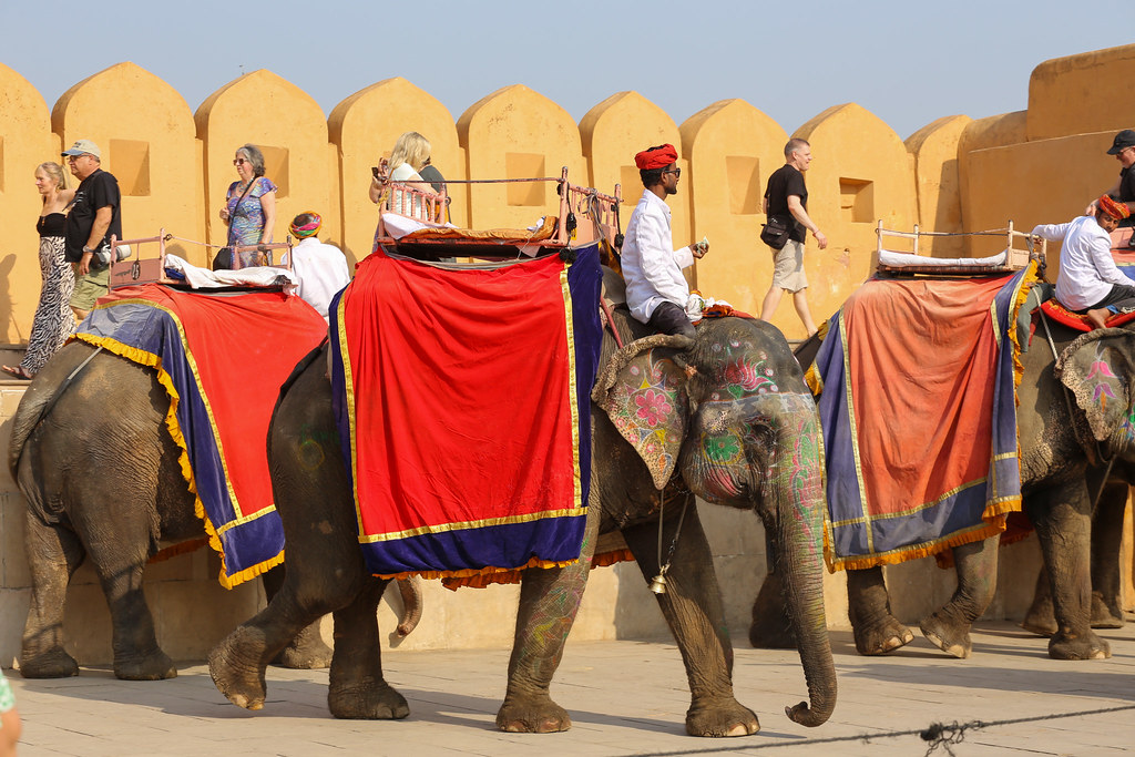 Jaipur Amber Fort