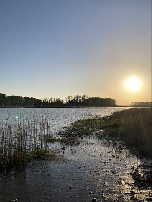 Sunset over the marsh.