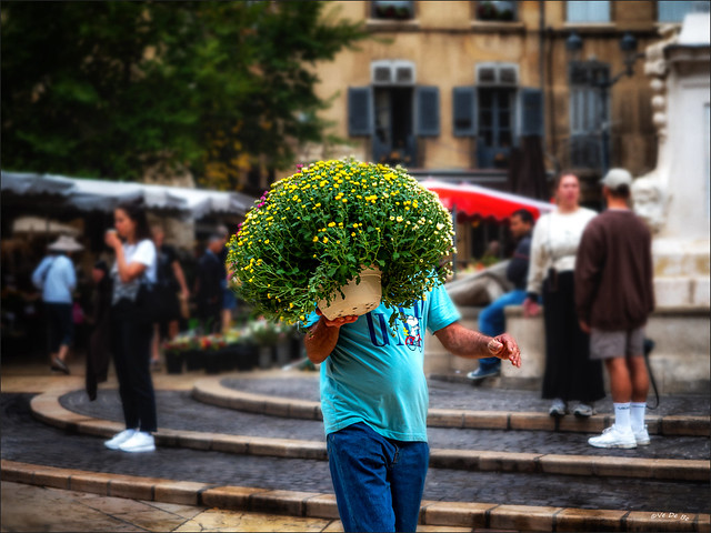 L'homme à tête fleurie / The man with a flower head