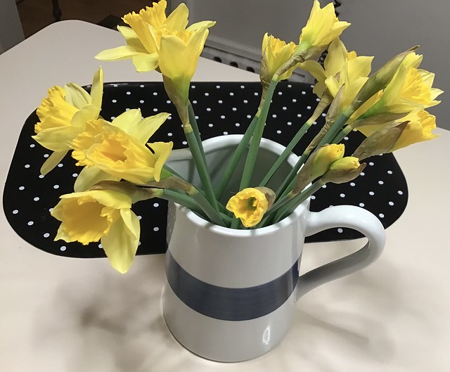 March Colours - Daffodils