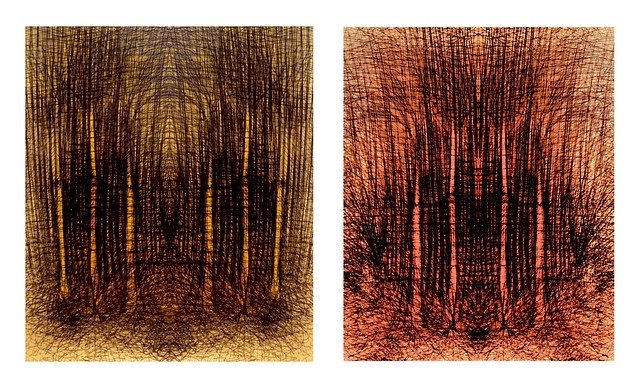 Drawings of Imaginary woods seen in a dream. Ballpoint pen line drawings by jmsw on thick card. Mixed media colour.