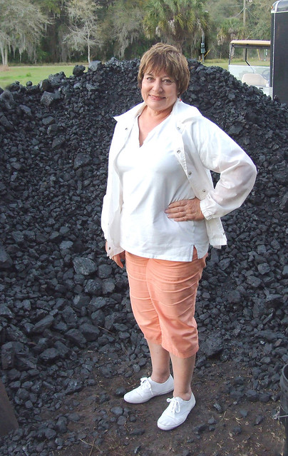 Parrish coal pile, 2008