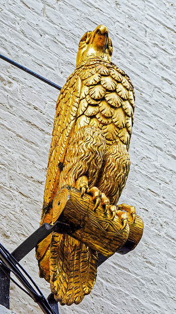 Golden Falcon - The Falcon Tap Room (York) Olympus OM-1 & M.Zuiko 12-100mm F4 Zoom