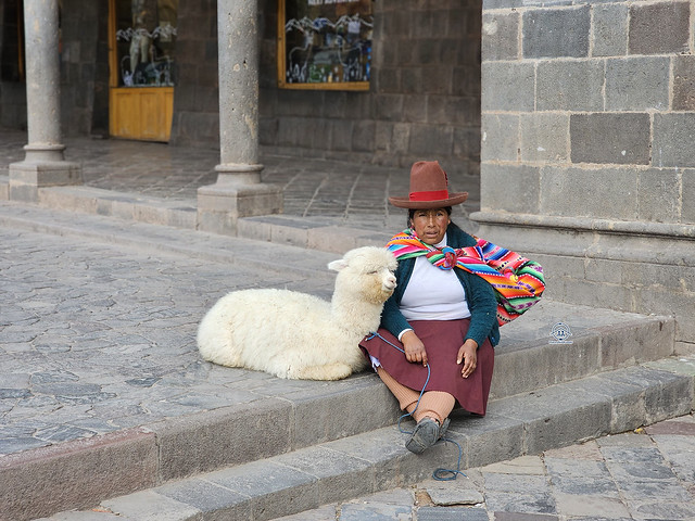 cusco alpaca with lady