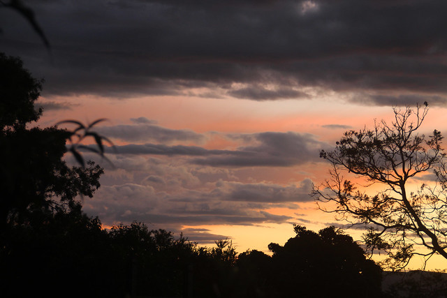 A Wollongong sunset from my backyard