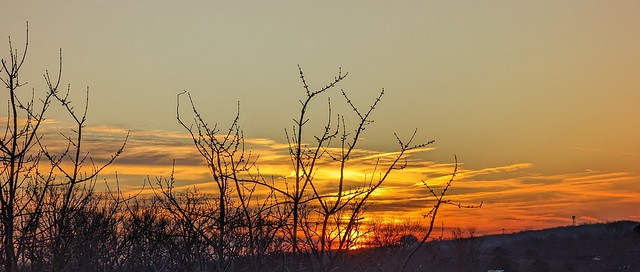 Sunset from deck, Feb 1, 2023