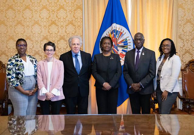 Caribbean News Global 52784006760_24f9910ea4_z St Vincent and the Grenadines donates to Art Museum of the Americas  