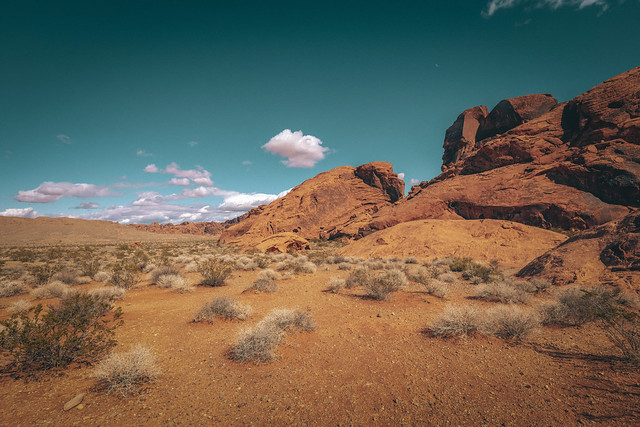 Valley of Fire State Park III