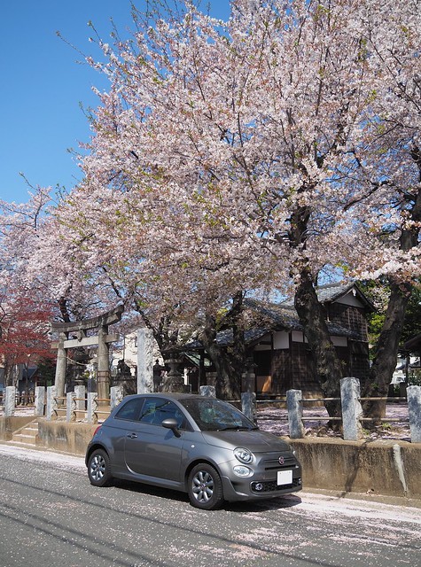 2017 Fiat500S and Shinto shrine