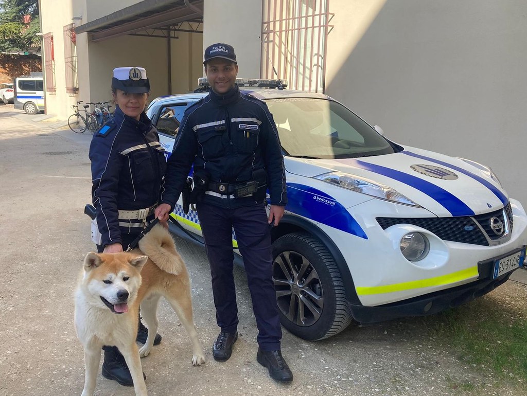 Cane Salvato dalle auto sulla via Emilia a Castel Bolognese dagli agenti della polizia locale dell’Unione