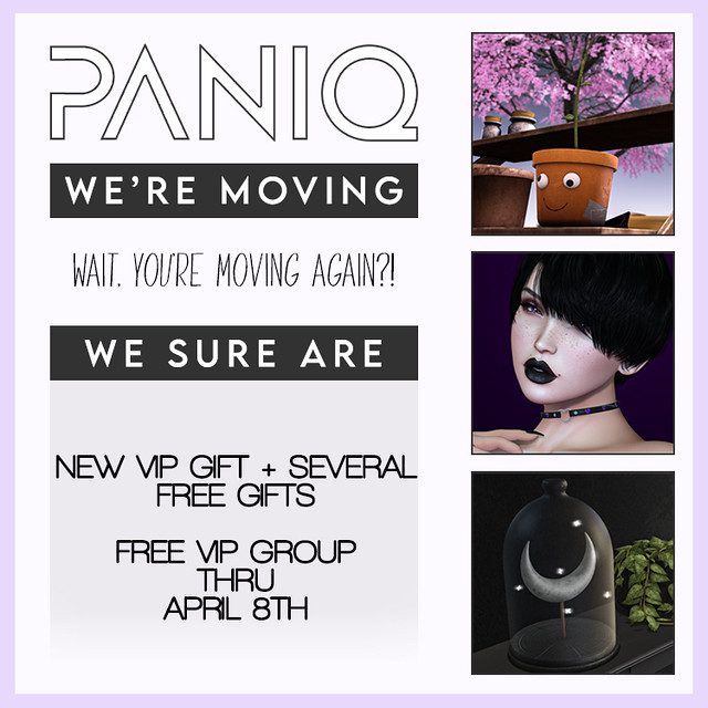 PANIQ Is Moving