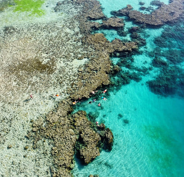 Foto de dron sobre los arrecifes de coral en Haql (Mar Rojo Saudí)