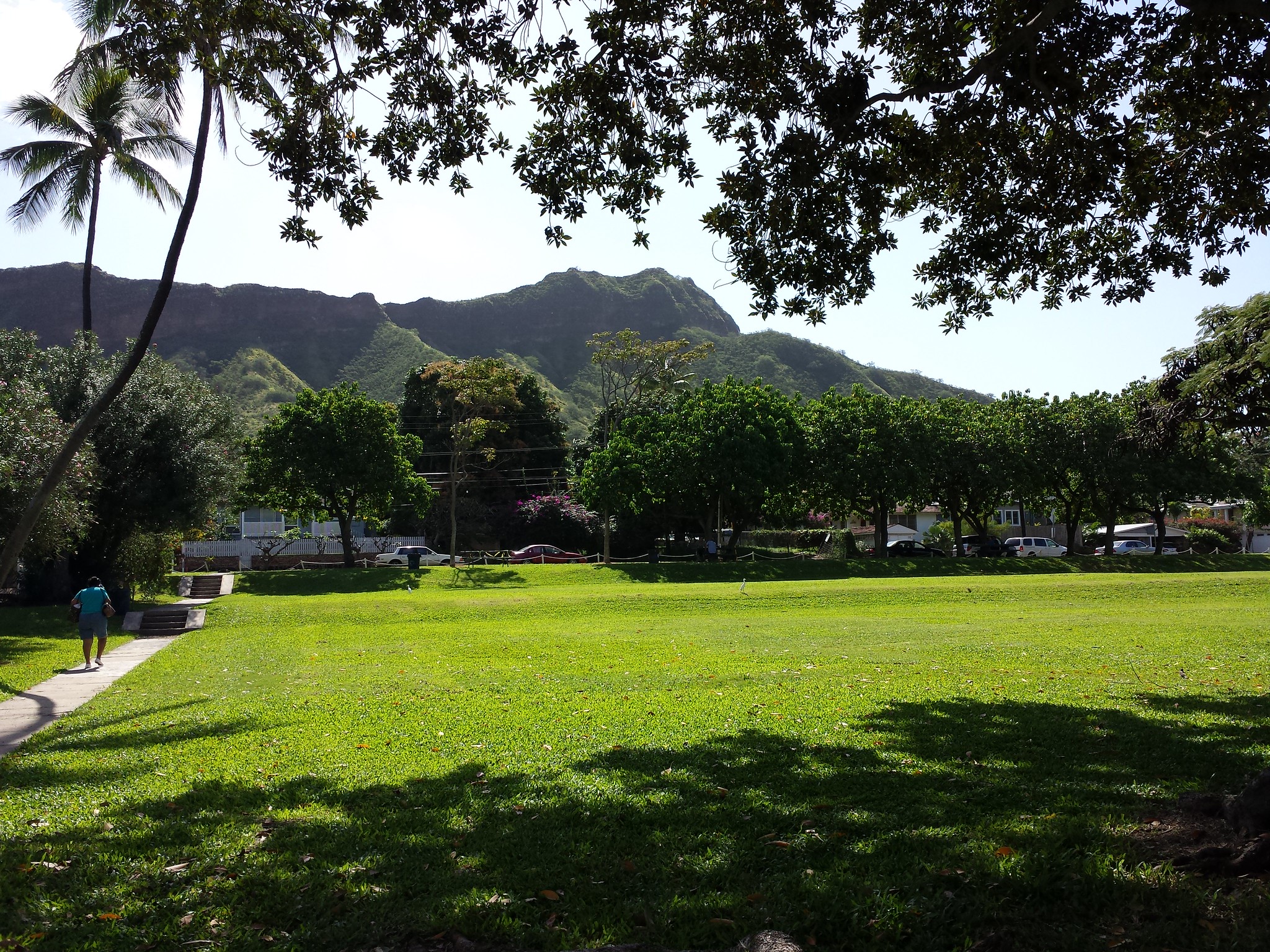 Kapiolani Park in Honolulu