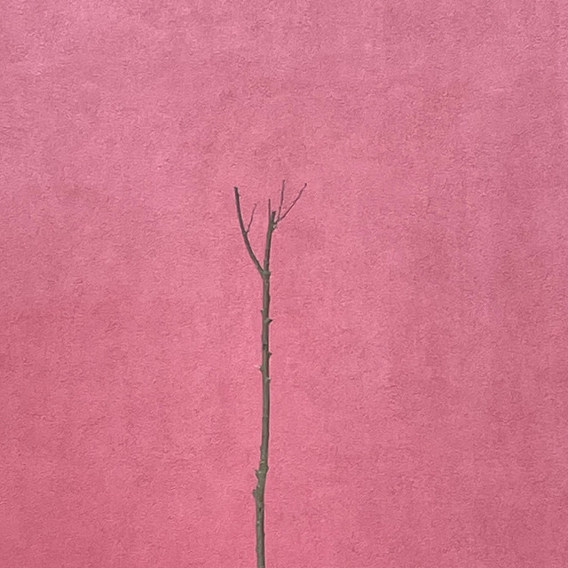 Skinny tree