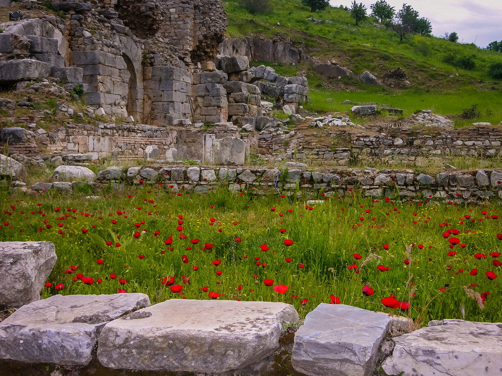 Poppies, Ephesus, Turkey