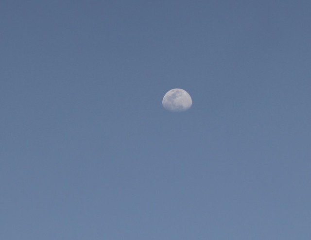 Early evening moon