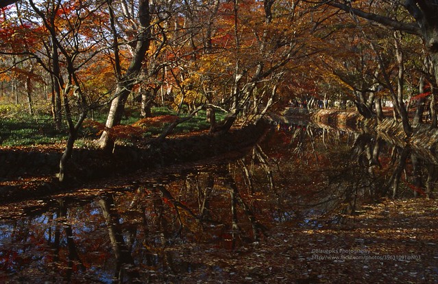 Gochang, Seonunsan Park, Autumn reflections