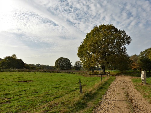 Landscape near Ootmarsum (2) by joeke pieters, 30 oktober 20221710779 panasonicdmcfz150 twentsewallen oudootmarsum twente overijssel nederland neth