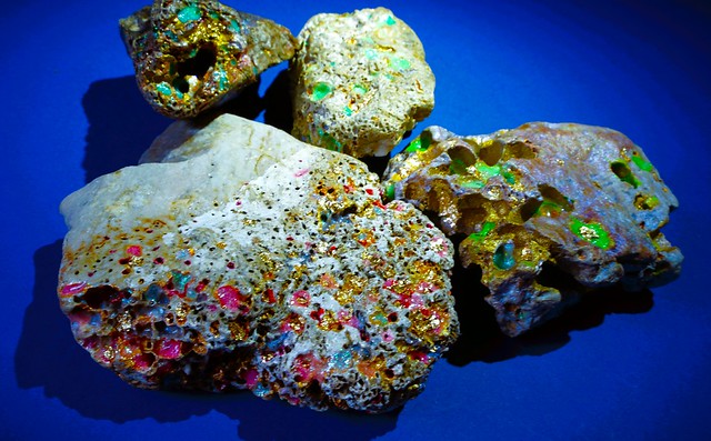 Painted rocks #Fool Flickr Friday