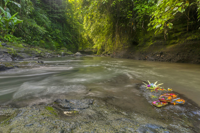 Balinese offering on the side of the river in Ubud