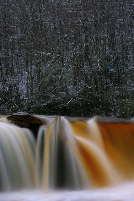 High Falls: Dark and snowy woods