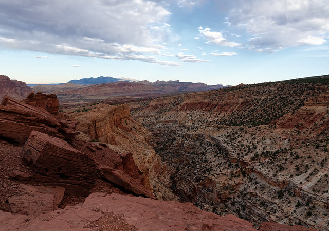 Blue Skies and Wide Open Views While Taking in a View of the Goosenecks (Capitol Reef National Park)