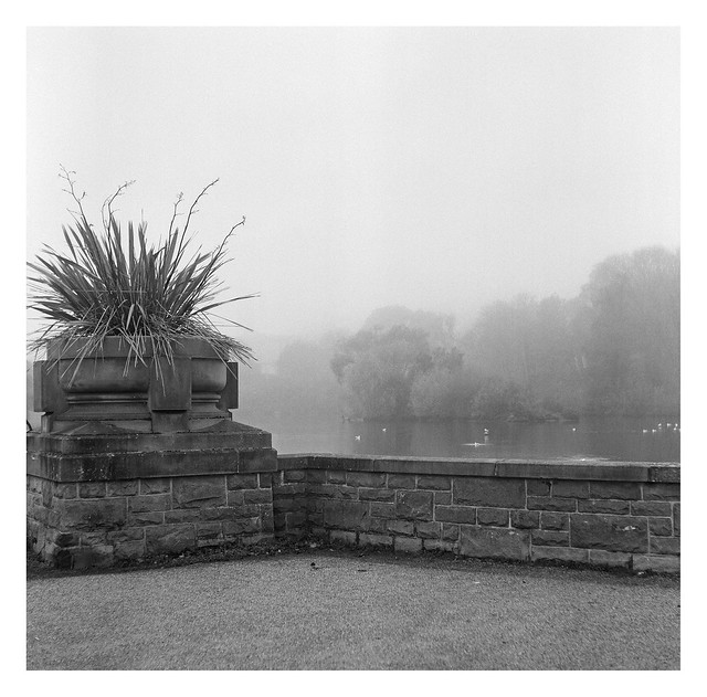 FILM - foggy lake