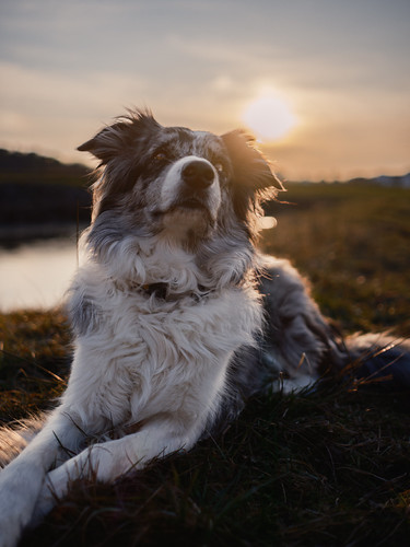 XT5A7631 by Rico Pfirstinger, Fujifilm X-T5 / Lightroom Classic
<a href="https://www.flickr.com/redirect?url=http://fujixsecrets.